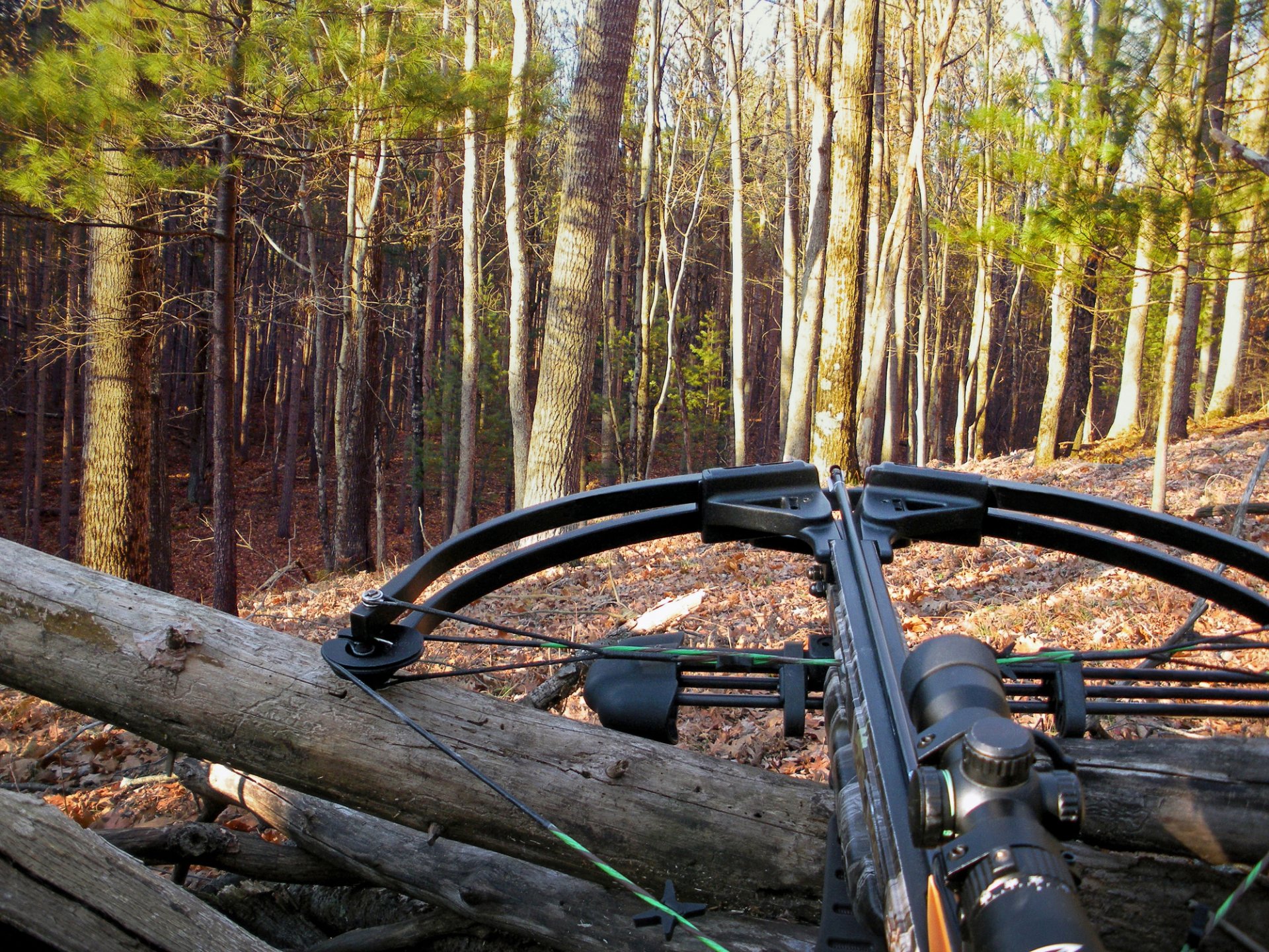 Deer Hunting With Crossbows and More Global Rule Changes