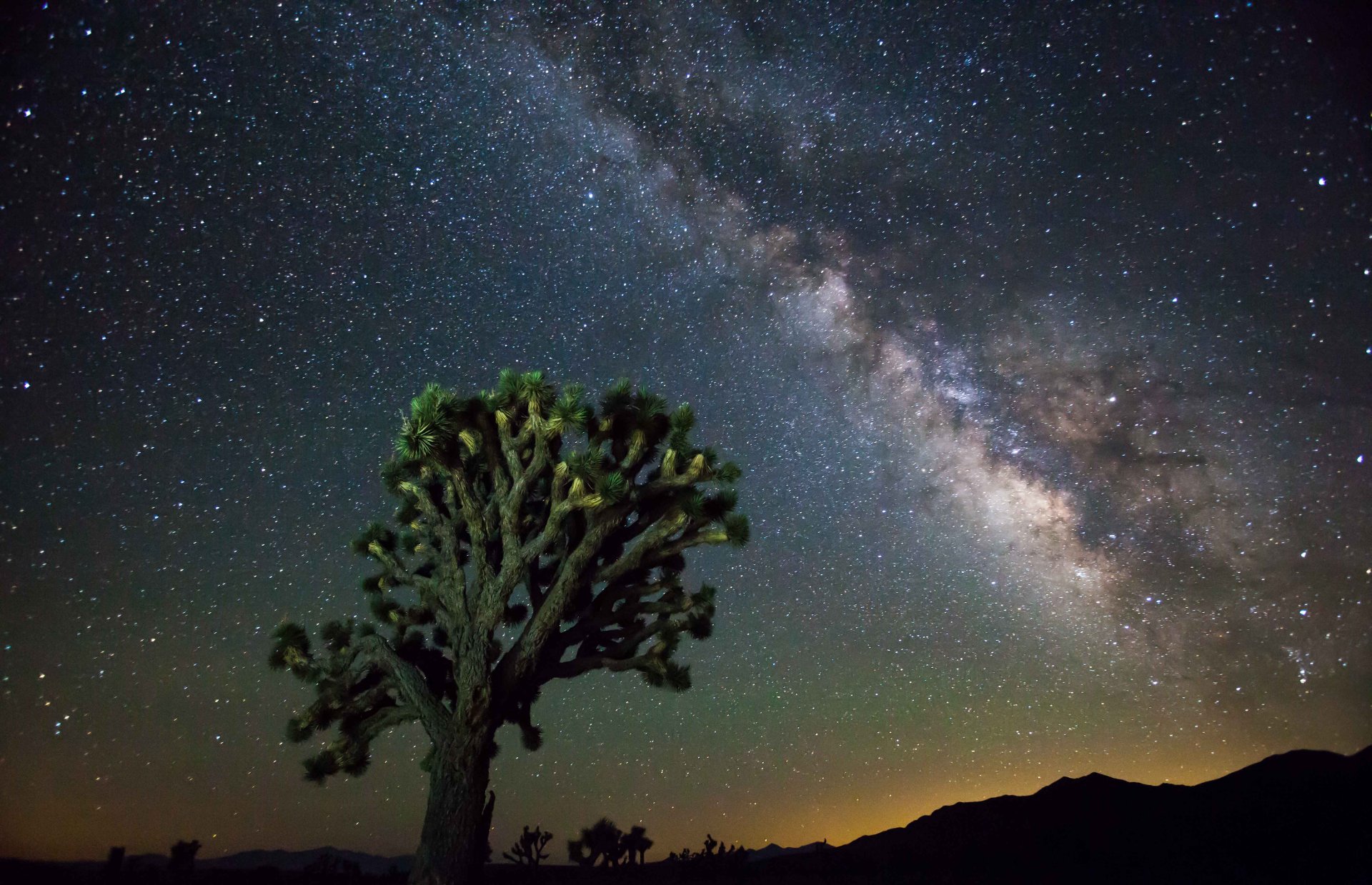 Explore Death Valley With Four Points Adventures in the 2025 Global Rescue Contest