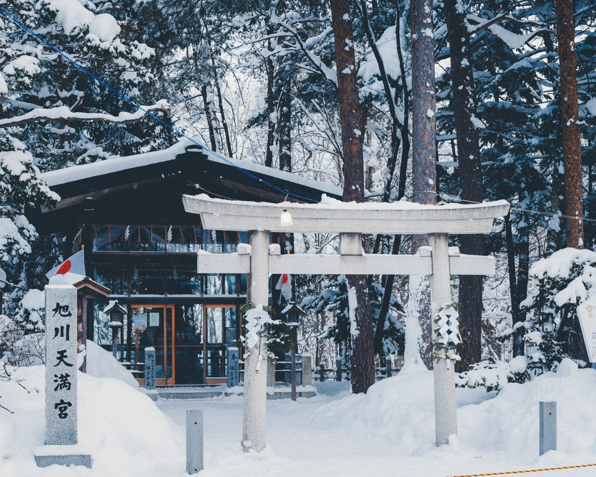 The Gift of Getaways: How Travelers Are Wrapping Up Adventure This Holiday Season