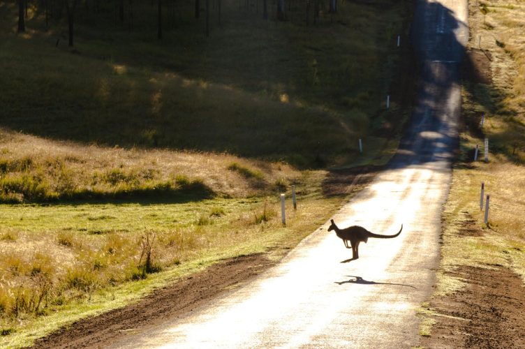 Mission Briefs – SOS In Action: Issue 4