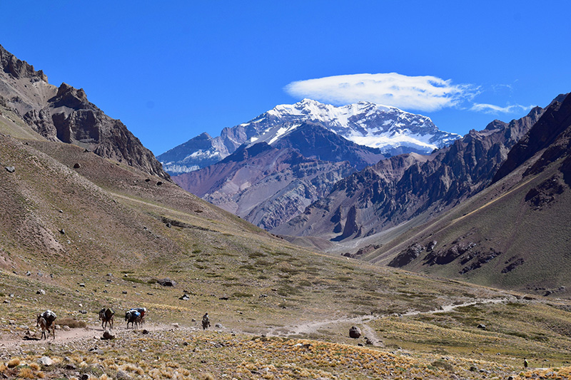 MISSION BRIEFS: JANUARY 2022 — ACONCAGUA EDITION