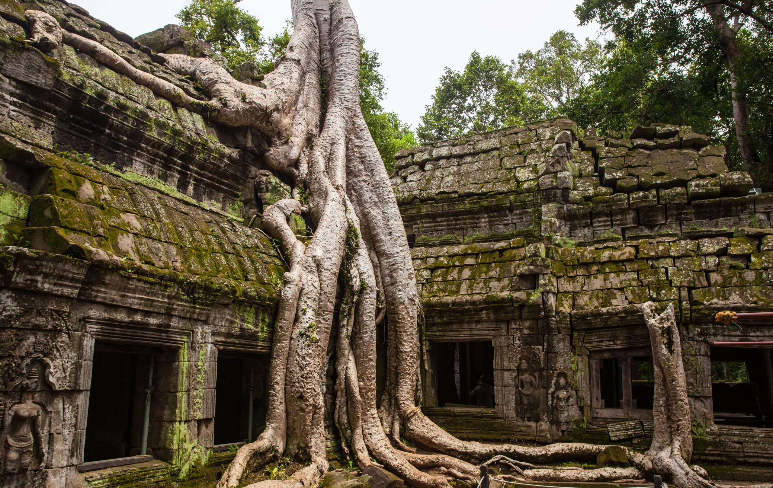 Things to Know Before Traveling to Cambodia