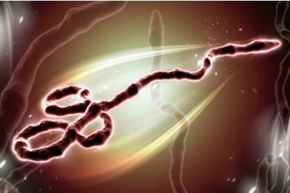 The latest update on Ebola
