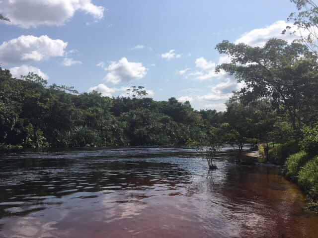 Informe sobre el terreno de Global Rescue 2018 en África