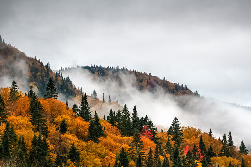 Jacques-Cartier-River-Park-Quebec-Canada