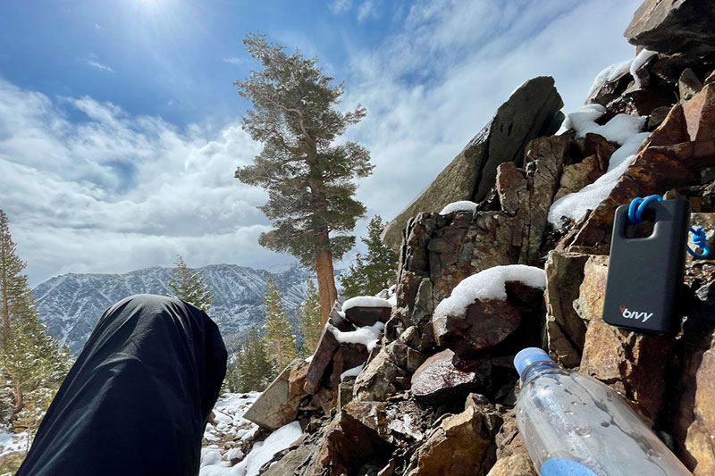 Miembro y vara de supervivencia