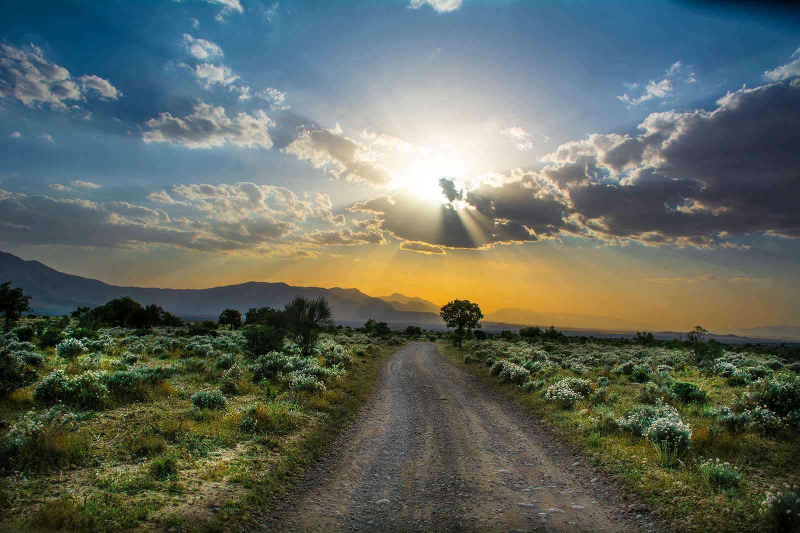 Misión Briefs: Febrero 2022