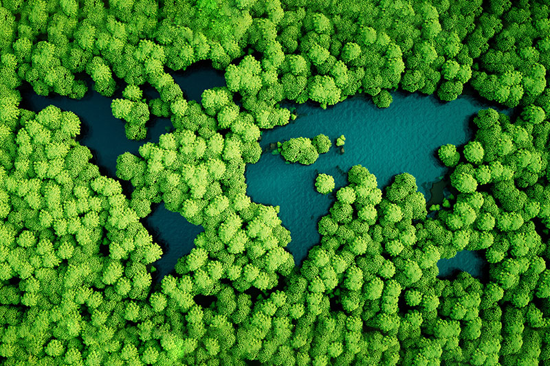 Cómo viajar de forma responsable y sostenible